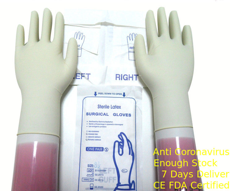 Natuurlijk Wit Chirurgisch de Handschoenenwegwerpproduct van het Kleuren Steriel Latex met Gerolde Rand leverancier
